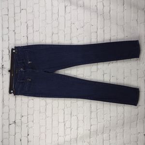 Ann Taylor Modern Fit the Skinny Jeans Pants Blue 4